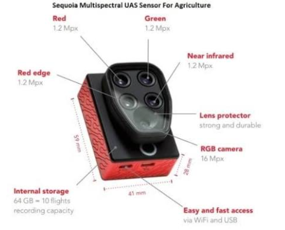 Sequoia multispectral UAS sensor for agriculture, with its red, green, near-infrared and RGB cameras labelled
